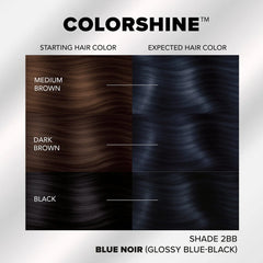 ColorShine: 2BB Blue Noir Demi-Permanent Hair Color