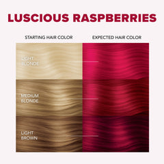 LUSCIOUS RASPBERRIES ORIGINAL COMPLETE KIT WITH BLEACH AND SEMI-PERMANENT HAIR COLOR