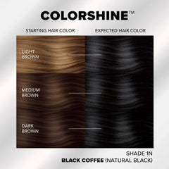 ColorShine: 1N Black Coffee Demi-Permanent Hair Color